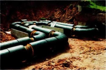 6.bmp